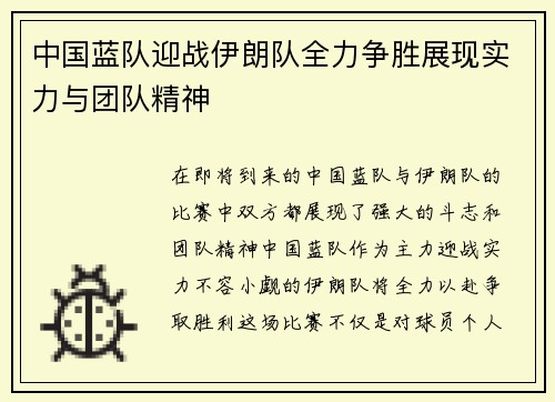 中国蓝队迎战伊朗队全力争胜展现实力与团队精神