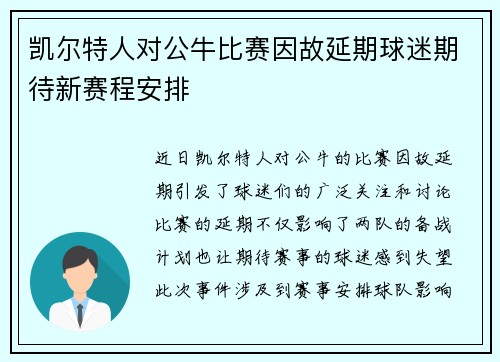 凯尔特人对公牛比赛因故延期球迷期待新赛程安排
