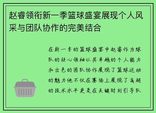 赵睿领衔新一季篮球盛宴展现个人风采与团队协作的完美结合