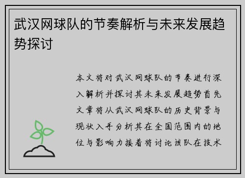 武汉网球队的节奏解析与未来发展趋势探讨